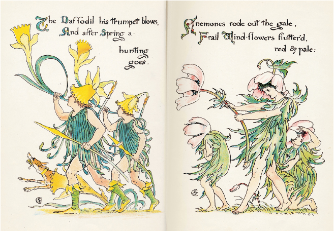 臨川書店 西洋稀覯書